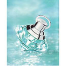 Chopard Wish Turquoise Diamond