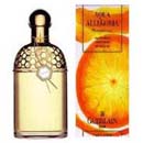 Aqua Allegoria Pamplelune