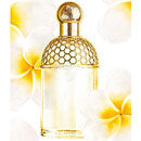 Aqua Allegoria Tiare Mimosa