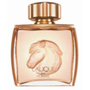 Lalique Pour Homme Equus
